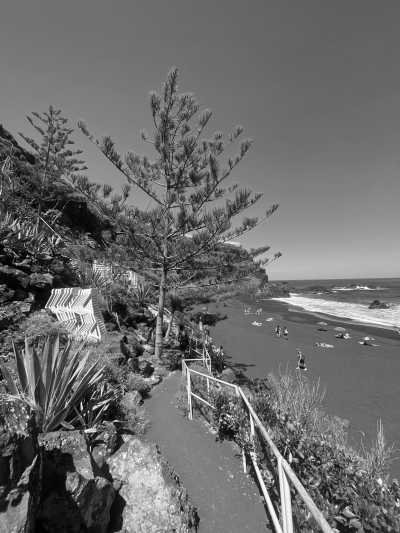 Spanien - Puerto de la Cruz - Island Yoga Retreat 🧘🏽‍♀️  Moon Rituals, Water Cleansing, Journaling, Nature Walks and New Years Manifestations. ✨ Women only 🫶🏽 - 4