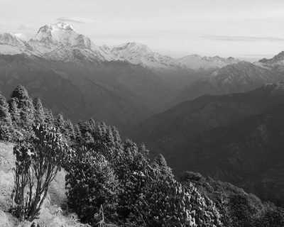 Nepal - Ghode Pani - Annapurna Base Camp Trek, Nepal