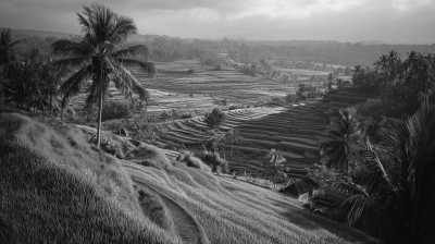 Indonesien - Ubud - Bali (Ubud) 3 Wochen - 100% Produktivität - Luxus-Workation, Arbeiten, Connecten, Wachsen - Eigenes Privatzimmer mit Privatbad für jeden Teilnehmer - 9