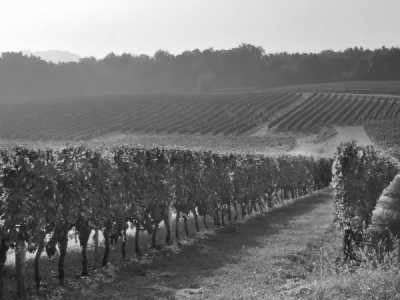 Spanien - Montserrat - Sun, Sangria, and Sagrada: Barcelona in May, An Adventure to Welcome Spring and Discover the Spanish Culture - 6