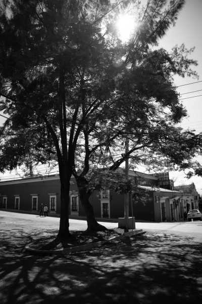 Mexiko - Oaxaca - All Inclusive Oaxaca, Mexico Culture & Cuisine Retreat 🌵🌮 - 2