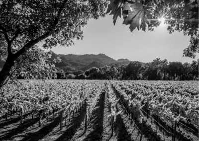 Mexico - San Miguel de Allende - Dolores Hidalgo - CoWorking in Guanajuato, Mexico with Canadian Digital Nomads