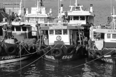 Southern Europe - Lar Azul - A Slow and Soulful Walk on the Portuguese Coastal Camino - 2