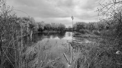 Slovakia - Bratislava - Discover Slovakia: Exploring Bratislava and Beyond - Marianka, Čuňovo, Stupava, Senec, Piešťany, Trenčín - 10