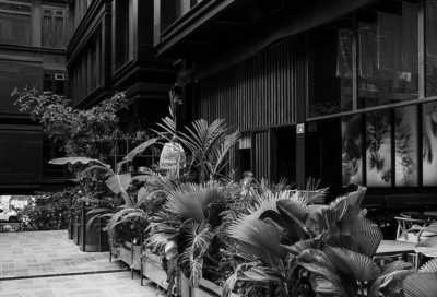 Kolumbien - Medellín - Unmissable Routes in Colombia: Meet the Artist & Life Connection - 1