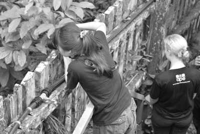 Malaysia - Sepilok - Discover Sabah Borneo: Immerse in Culture, Wildlife, and Nature in Malaysia - 4