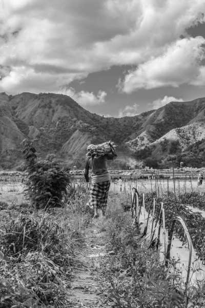 Indonesien - Tetebatu Rice Terraces - Hiking and Biking the Rinjani Volcano in Lombok while Relaxing on the Gili Islands - 1