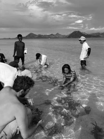 Indonesia - Rinca - Impact Trip on Indonesian Independence Day and Exploring Komodo National Park, Island Hopping and Many More. - 24