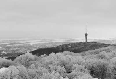 Hungary - Mecsek - Rural Roadtrip - Winter Hungary - Culture, Nature, Wildlife - Christmas - 2