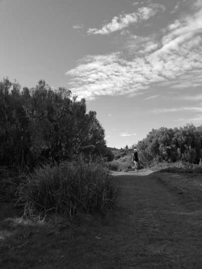 Portugal - Ribeiro Frio - Madeira  SPECIAL ADVENTURE - off the beaten path with a local Adventurer: João_lets_hike! - 5