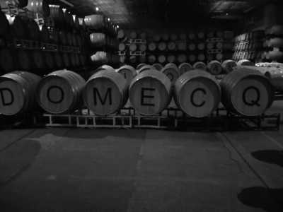 Mexico - Guadalupe - Mexican Wine, Dine, and Fun: A Local Journey to Indulge in the Flavors of Mexico - 1