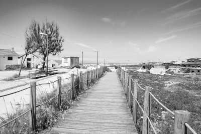 Southern Europe - Santiago de Compostela - Embark on a Pilgrimage: Walking the Portuguese Camino Together - 4