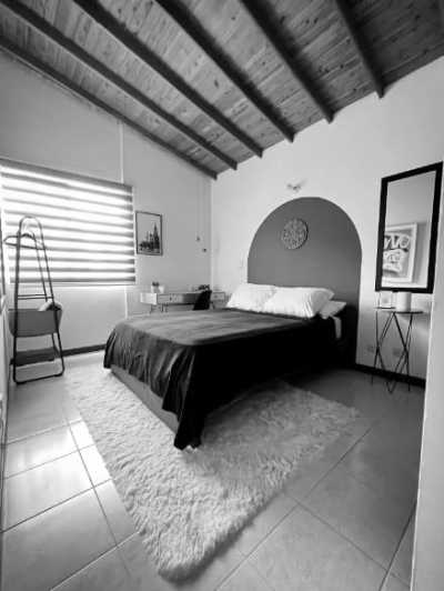 Colombia - Medellin - Living Like a local in Medellin 1 month ✨ (Pet-friendly) Comuna 13, Picnics, Hiking, Guatapé, Provenza 🌍 | COWORKING TRIP 👩‍💻| - 3