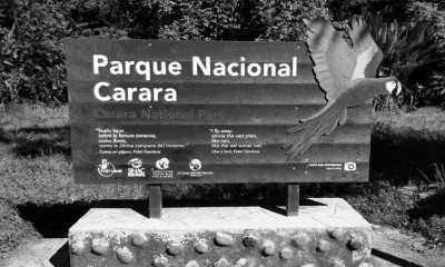 Costa Rica - Punta Leona - Majestic Adventures in Costa Rica: Beaches, Volcanoes, Hot Springs, Cloud Forest, and Pura Vida Lifestyle! - 11