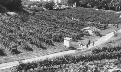 Spain - Alella - Barcelona perfect plan: beach, city, wineyards and more! - 1