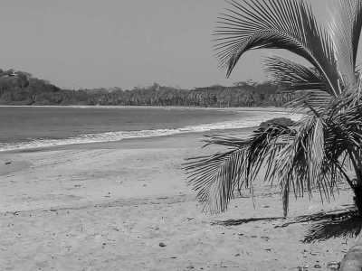 Costa Rica - Manuel Antonio - Costa Rica Essentials🌴: San José-Monteverde-La Fortuna-Manuel Antonio. Hanging Bridges🌳 Thermal Waters🌋& Wildlife🐒 - 1