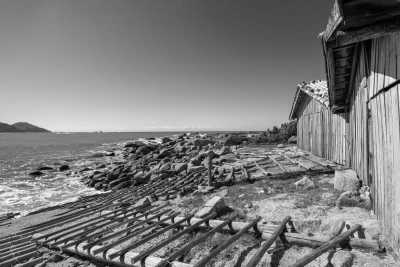 Brazil - Praia do Rosa - Unforgettable Trip to Brazil: Trekking, Surfing, Yoga, Whale Watching, and More - 3