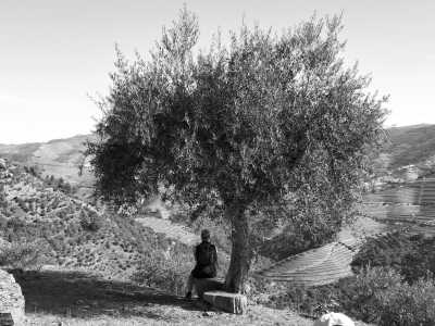 Portugal - Provesende - Wine, Nature, Hiking and Kayaking in the World Heritage Region of the Douro Valley, Portugal