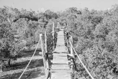 Kenya - Watamu - Travel to Kenya's North Coast And See Its Hidden Gems - 4