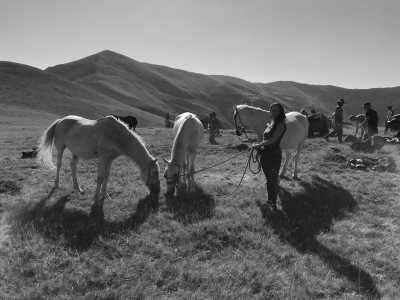 Romania - Comăna de Sus - Romania On Horseback - Horses and Unforgettable Memories - 1