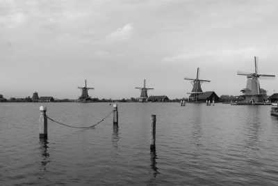 Netherlands - Volendam - Amsterdam Exploration and Dutch Nature Discovery: Local Guide and 2 Huskies - 2