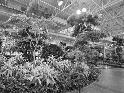 Canada - Devonian Gardens - Exploring Calgary, Canada Art and Luxury - 7