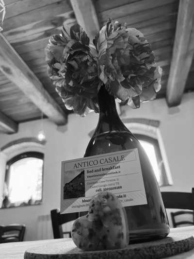 Italy - Bed & Breakfast Antico Casale - Castel Giorgio (Terni) - Thermal Trip 🧖‍♀️ in Tuscany - NOVEMBER - 2