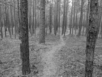 Northern Europe - Nationalpark Ķemeri - Discover the Baltic States: Tallinn, Riga, Vilnius and Much More! - 1