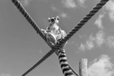 South Africa - Ballito - South Africa Coworking Adventure for Digital Nomads - 7