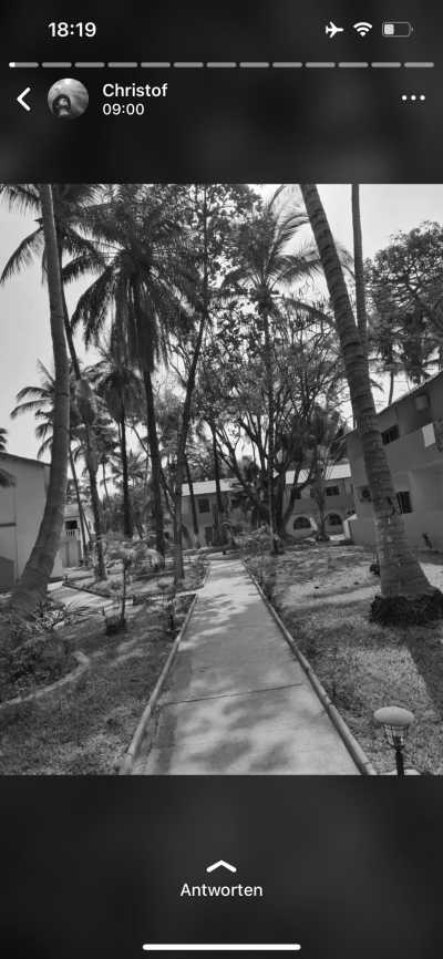 Gambia, The - Kotu - Feel The Gambia 🇬🇲 The smiling coast of Africa - Roundtrip - 2