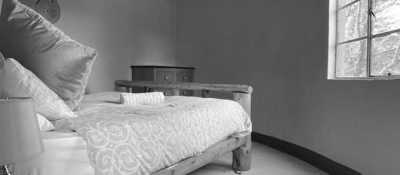 South Africa - Durban - Trip to Khotso, South Africa-Enjoy Horse Trails, Adventure and Wildlife ☀️🏇😊 - 9