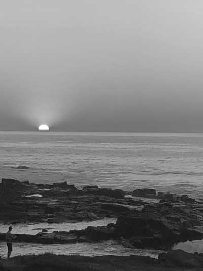 South Africa - Dolphin Coast - Discover the Magic of South Africa on a Coworking Adventure for Digital Nomads - 7