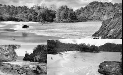 Indonesia - Green Bay - Travel to Banyuwangi, Indonesia with a Local