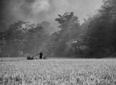 Vietnam - Mai Châu - Active Adventure in North Vietnam (motorbike, hike, and cycle) - 3