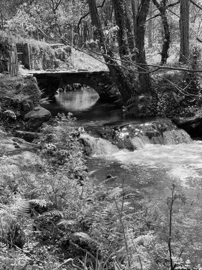 Southern Europe - La Fonda Restaurante - A Slow and Soulful Walk on the Portuguese Coastal Camino - 2
