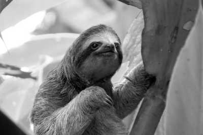 Brasilien - Ubatuba - 🇧🇷 Tomorrowland Brasil: Der perfekte Trip – Strände, Dschungel, Städte und das legendäre Festival! 🇧🇷 - 6