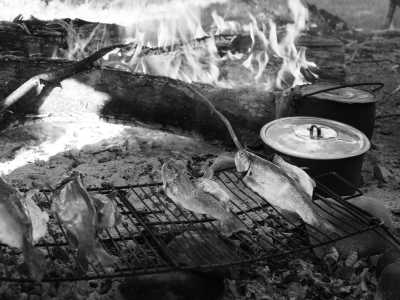 Argentina - Lago Esperanza - Majestic Horse Riding Adventure,"Eye To Eye with the Condor" - 4