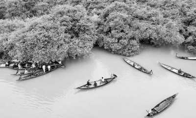 Bangladesch - Ratargul Swamp Forest - Essence of Bangladesh: Exploring Sylhet’s Beauty