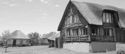 South Africa - Durban - Trip to Khotso, South Africa-Enjoy Horse Trails, Adventure and Wildlife ☀️🏇😊 - 8