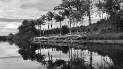 Cambodia - King Island - Natural Cambodia - 🐾 a trip that no one has ever taken ⚡ (Angkor temples, capital, jungles and relax at the Island are included!) - 2