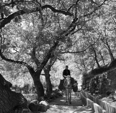 Morocco - Aroumd - Treasure Hunt: Hiking, Nature and Healthy Diet in Toubkal Region, Morocco, Charming Hotel All Included - 4