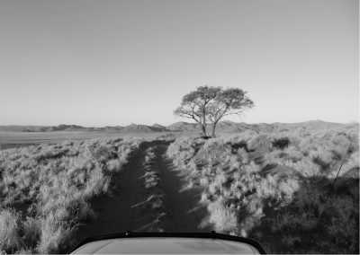 Kenya - Nairobi - 7 Days Safari in Nairobi, Kenya: Exploring Kenya Like A Local - 3