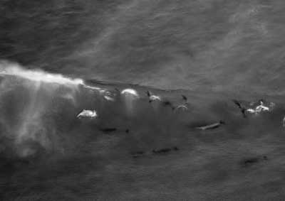 South Africa - Ballito - South Africa Coworking Adventure for Digital Nomads - 4