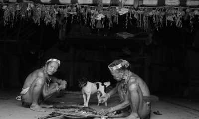 Indonesia - Siberut Island - Exploring the exotic west Sumatra, Indonesia ☀️ Surfing, hikes, culture and MORE - 4