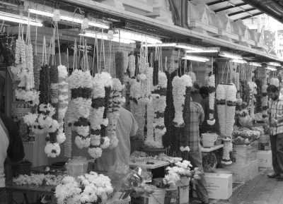 India - Mahabalipuram - Ancient South India: Experience the Exotic Ancient Temples and Enticing Hills of Tamilnadu - 12