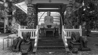 Sri Lanka - Colombo - 17-Days CoWorking Adventure in SRI LANKA: Beach I Safari I Surf I Pool & BBQ - 2