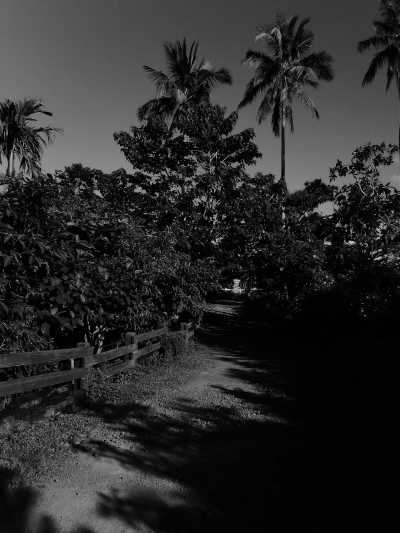 Philippines - Mount Bariw - Exploring the Volcano Beauty of Legazpi, Albay, Philippines - 2