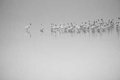 Namibia - Walvis Bay - Embark on an Unforgettable Namibian Odyssey: A Journey Through Dunes, Deserts, and Wildlife - 3