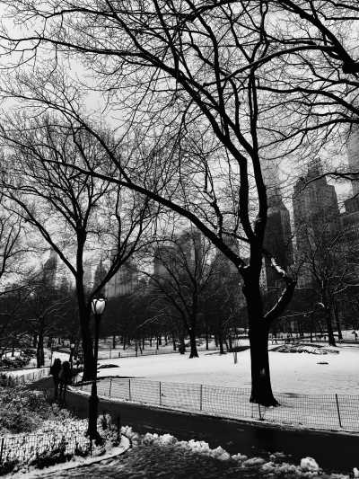 Vereinigte Staaten - Central Park - New Year - New York City! Celebrate and explore with a small group - 1