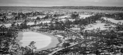 Nordeuropa - Ķemeri National Park - Discover the Best of Latvia and Lithuania: History, Castles, and Nature - 1